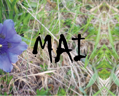 Les projets du mois de Mai 2019
