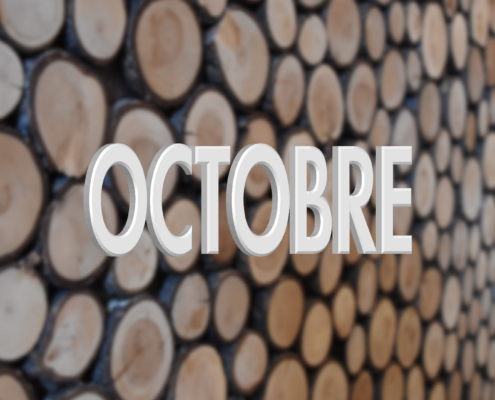 Les projets du mois d'Octobre 2019