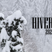 Les projets de l'hiver 2021