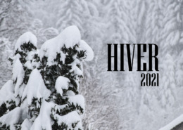 Les projets de l'hiver 2021